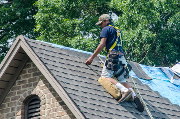Best Shingle Roofing Installation  in Lyman, WY
