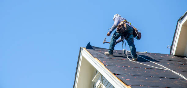 Best Roof Gutter Cleaning  in Lyman, WY